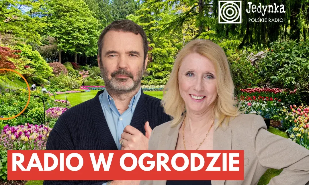 Radio w ogrodzie